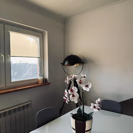 Nadmlynowka Apartmán Nowy Targ