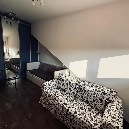 Nadmlynowka Apartment *